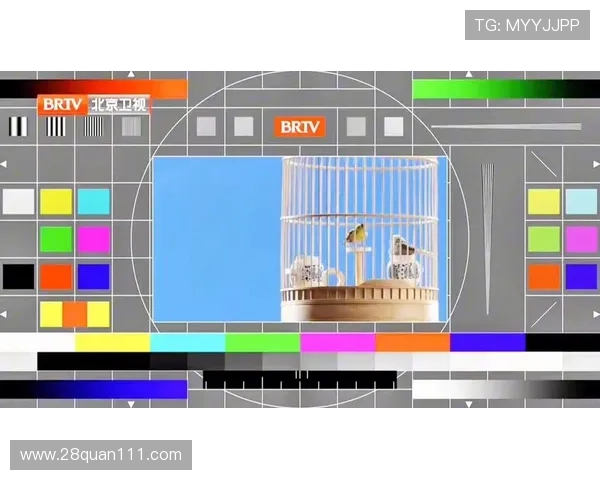 北京卫视青年频道高清直播在线观看